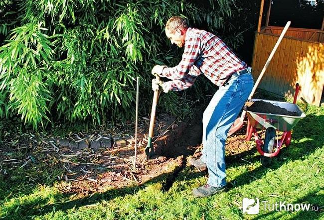 Мужчина работает в саду