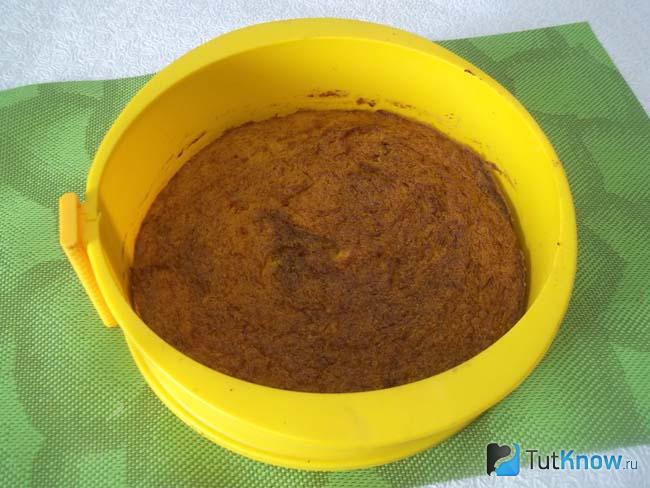 Готовые тыквенно-манные коржи для торта