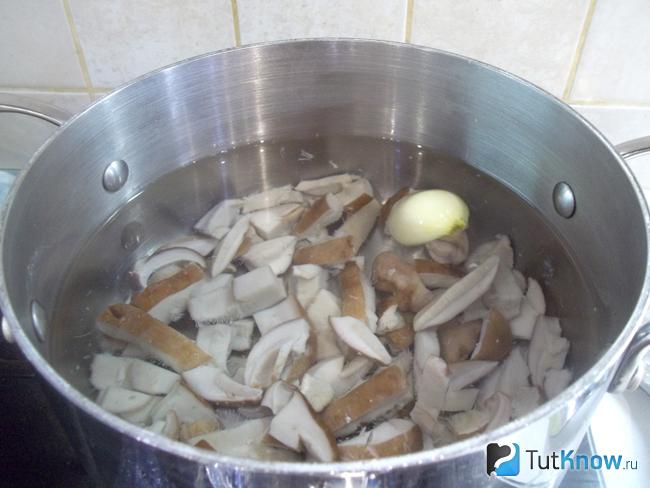 Грибы залиты водой