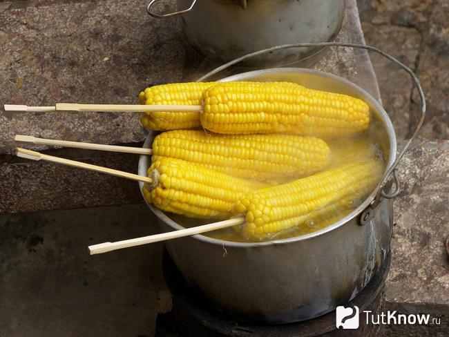 Как приготовить кукурузу — тонкости и секреты