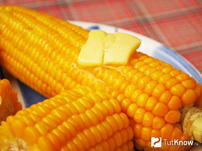 Как варить кукурузу на плите