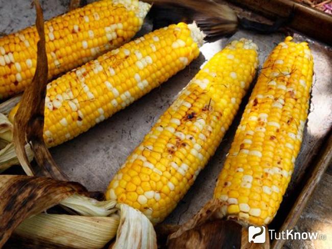 Как приготовить жареную кукурузу на мангале