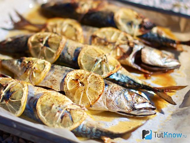 Запеченная скумбрия