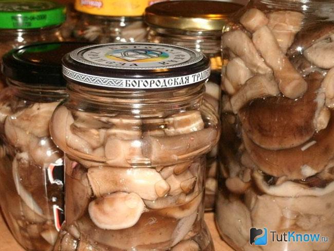 Маринованные грибы в банках