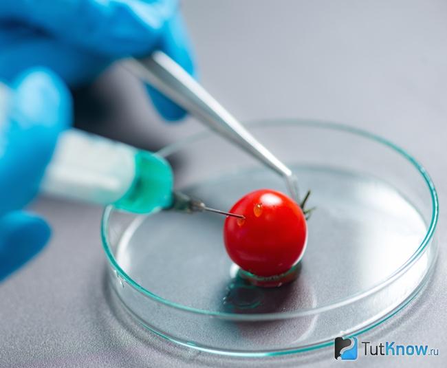 Генномодифицированная продукция