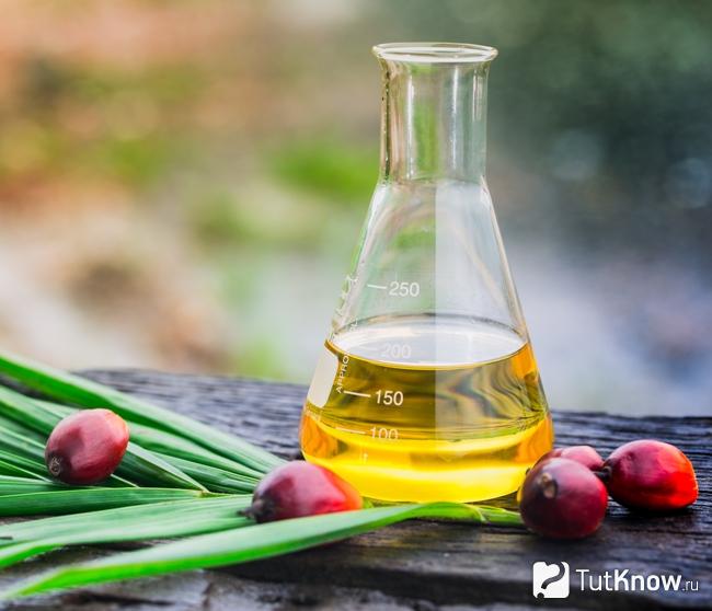 Пальмовое масло как вредный продукт в больших количествах