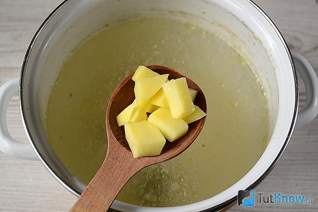 сырный суп с курицей и клецками. 1584274259 3. сырный суп с курицей и клецками фото. сырный суп с курицей и клецками-1584274259 3. картинка сырный суп с курицей и клецками. картинка 1584274259 3. Суп с сырными клёцками – универсальное первое блюдо, ведь вы можете его приготовить в любое время года. Блюдо состоит из продуктов, которые продаются в каждом супермаркете. Кроме того, суп простой в приготовлении.