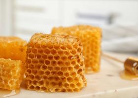 Мед для иммунитета – польза, рецепты, применение