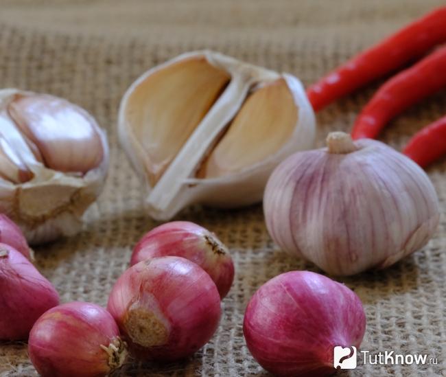 Продукты с фитонцидами для иммунитета