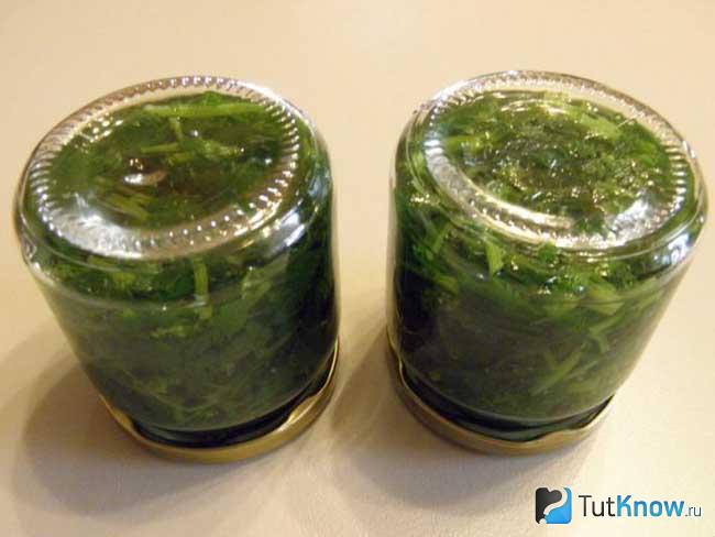 Маринованная крапива