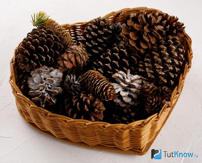 Корзинка с шишками