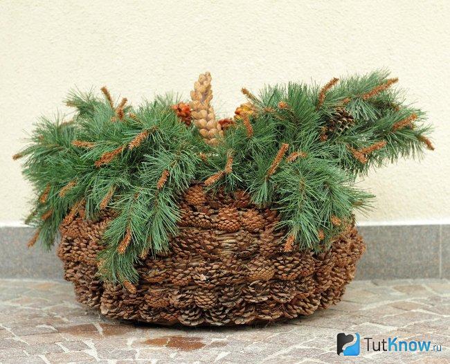 Корзинка из шишек