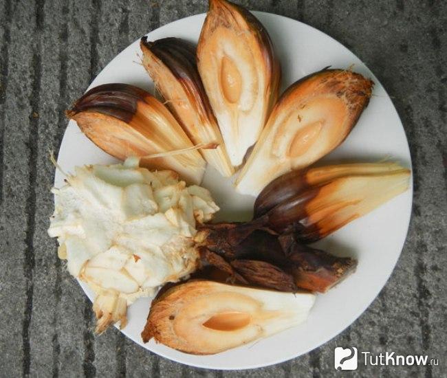 Семена пальмы нипа как редкий фрукт