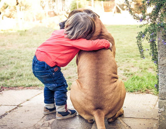 Ребенок обнимает большую собаку