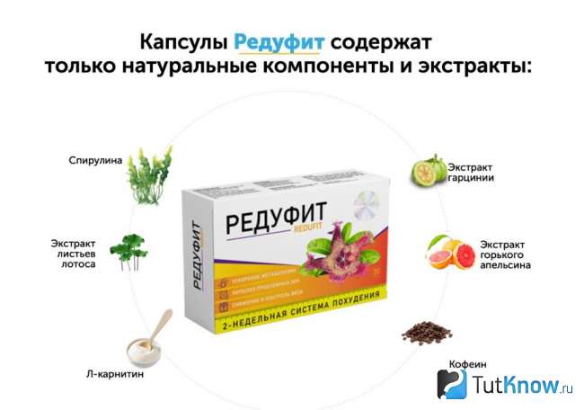 Состав Редуфита для похудения