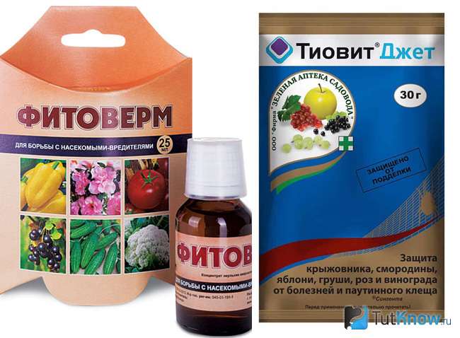 Фитоверм и Тиовит Джет от паутинного клеща