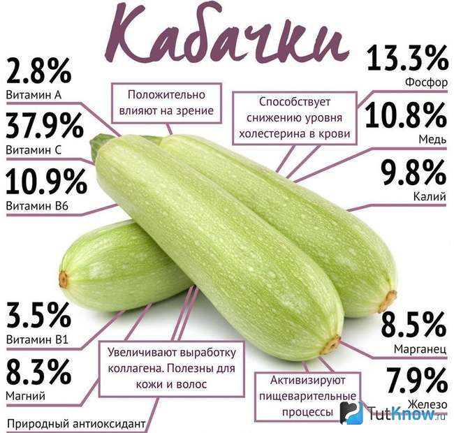 Витамины и микроэлементы в кабачках