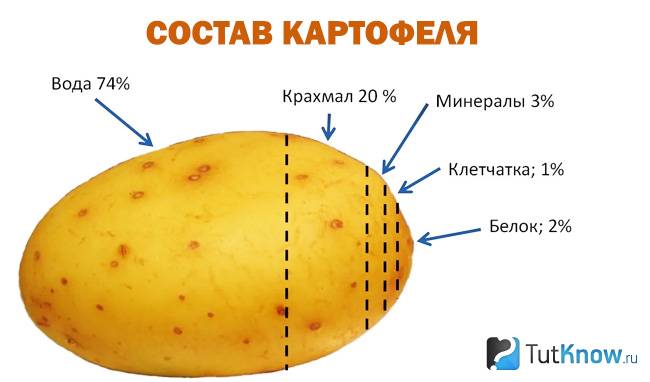 Состав картофеля