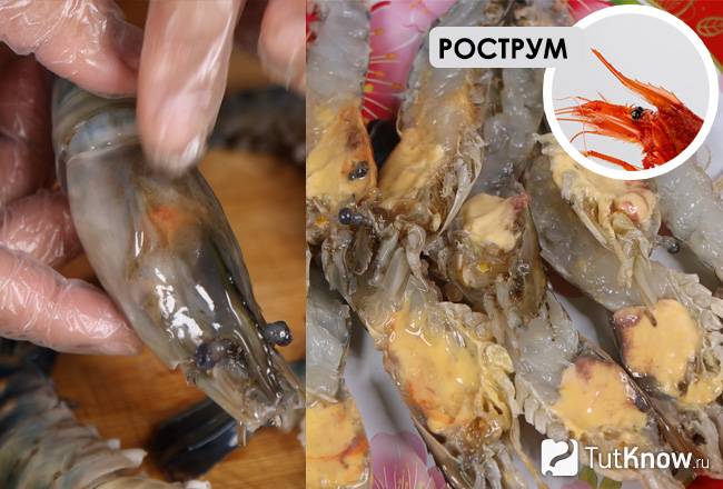 Свежие речные креветки
