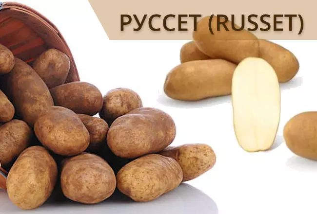 Руссет - лучший картофель для French fries
