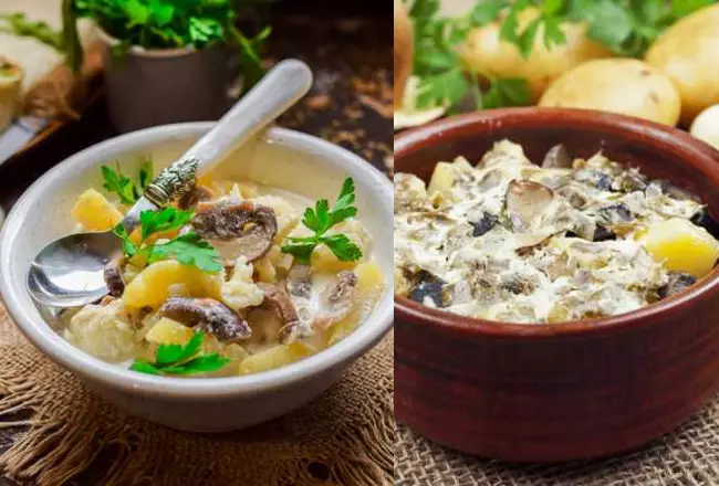 Тушеный картофель с грибами и сметаной