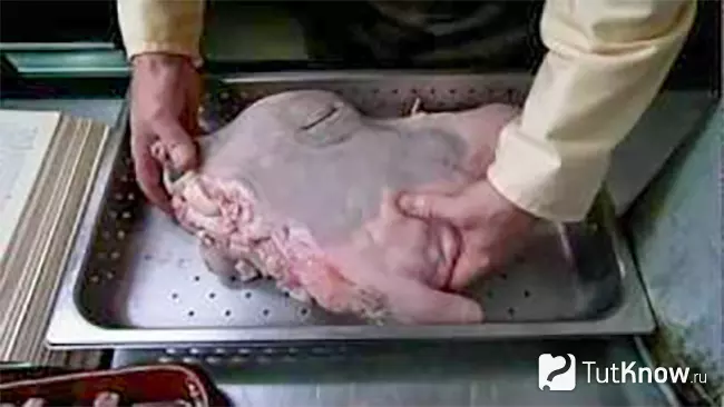 Говяжья голова для Mock Turtle Soup