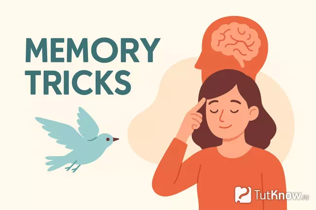 Техника ассоциаций для запоминания неправильных глаголов