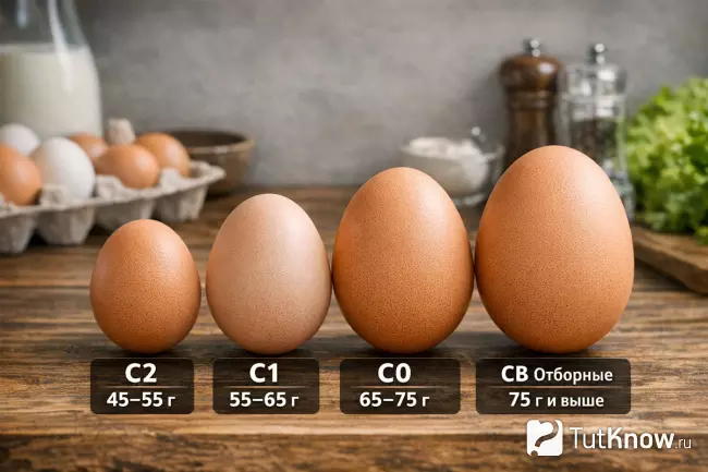 Размеры и вес яиц в СНГ, сравнение C2, C1, C0 и СВ