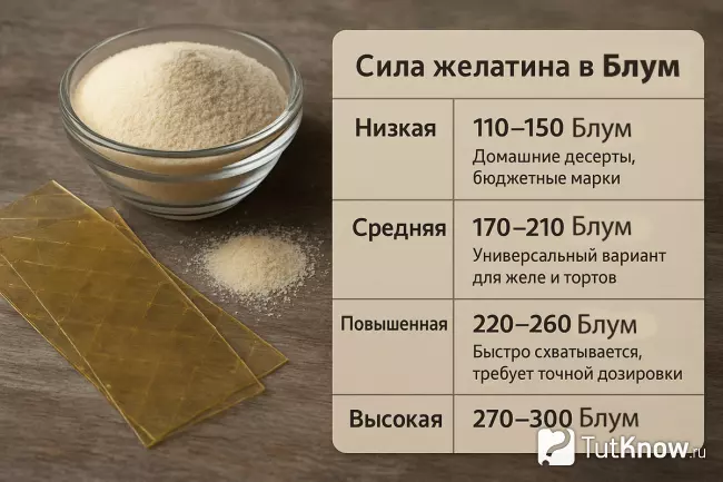 Сила желатина в Блум — листовой и порошковый