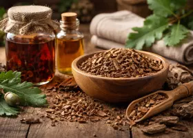 Полезные свойства коры дуба и способы применения в быту