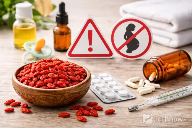 Противопоказания и вред ягод годжи