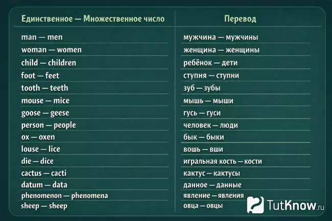 Таблица неправильных форм множественного числа в английском языке