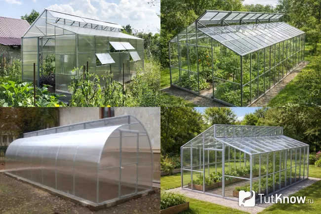 Теплица Митлайдера