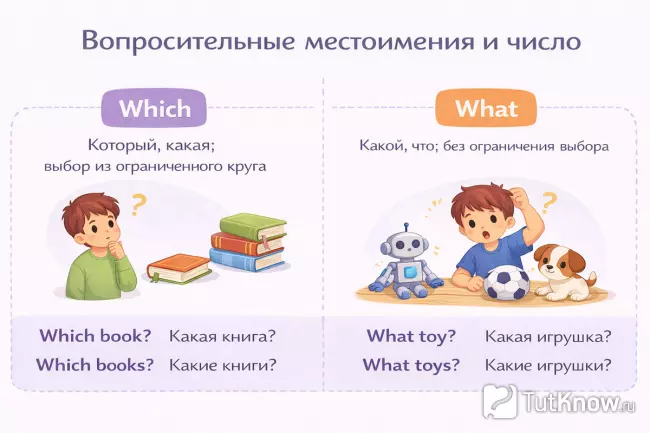 Which и what в английском языке число и выбор