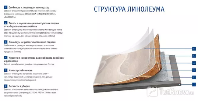 Структура линолеума в разрезе