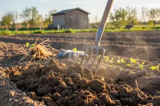 Плюсы и минусы весенней перекопки огорода