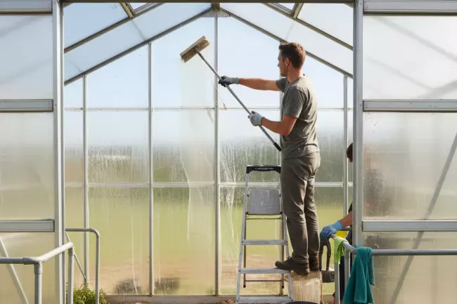 Очистка и дезинфекция теплицы перед сезоном