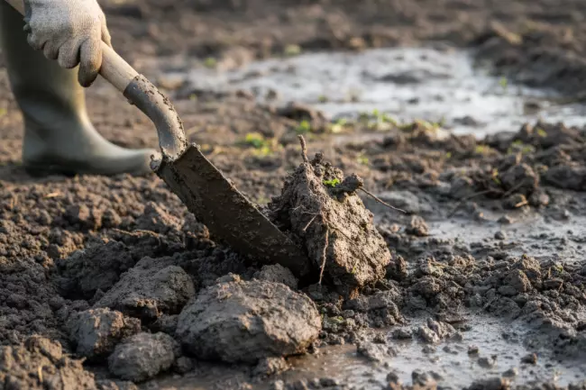 Весенняя перекопка огорода: плюсы, минусы, ошибки