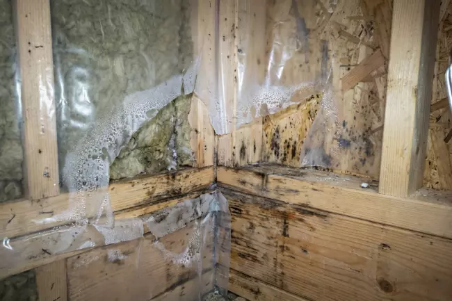 Непроклеенные стыки пароизоляции и конденсат в утеплителе