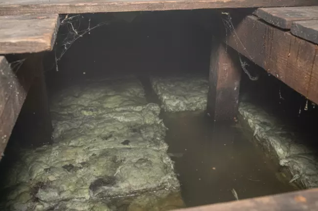 Причины и устранение затхлого запаха в бане