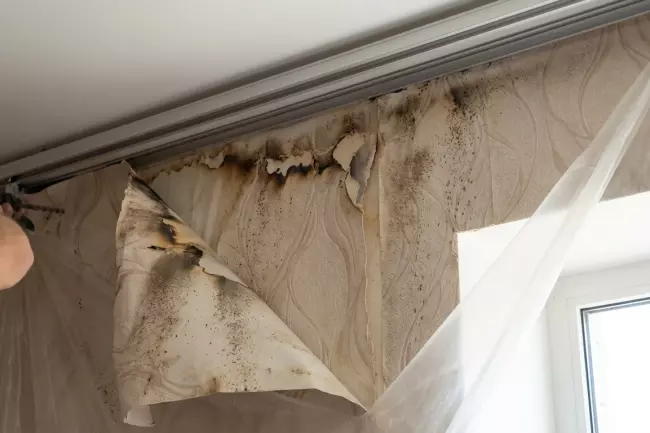 Риски монтажа натяжного потолка после обоев