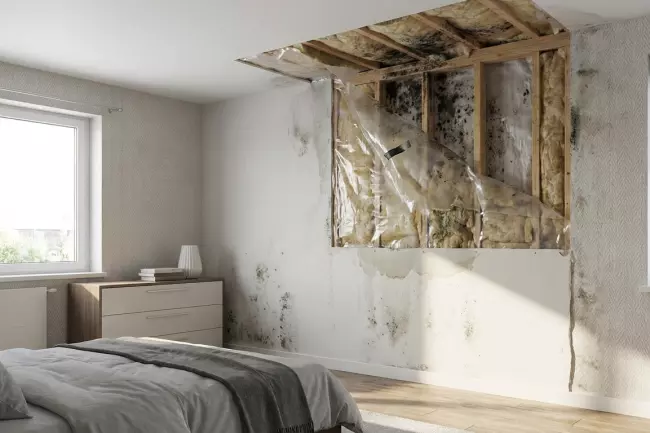 Запах сырости при неправильной пароизоляции