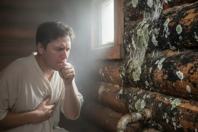 Грибок в бане: причины и методы борьбы