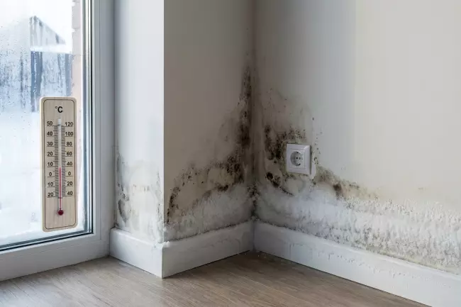 Признаки неправильной пароизоляции: промерзание, холодные углы