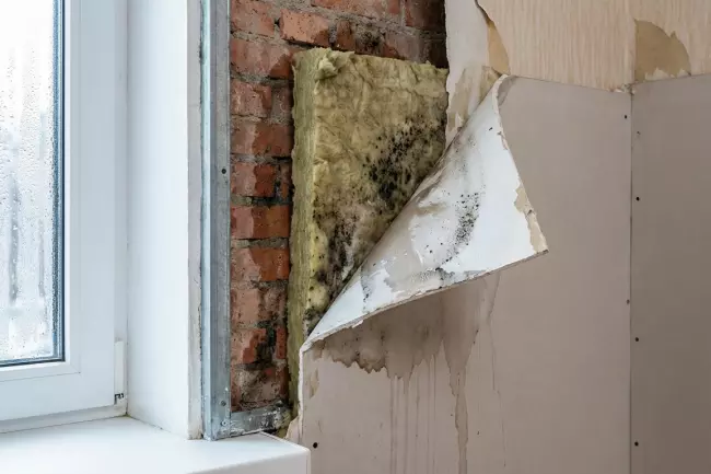 Риски точки росы и конденсата при утеплении изнутри