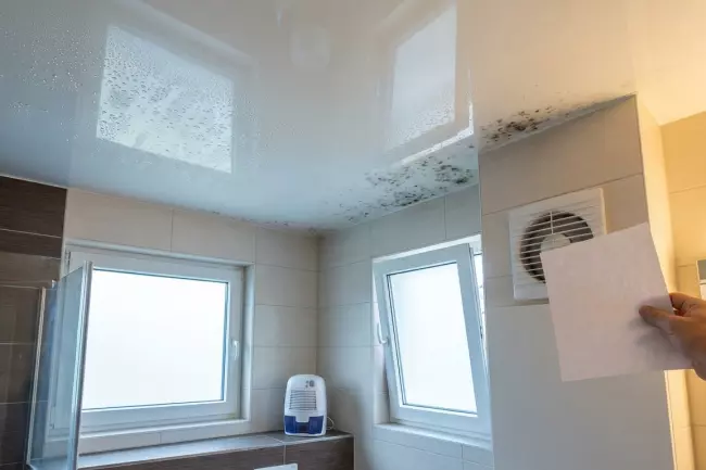 Натяжной потолок против конденсата и плесени