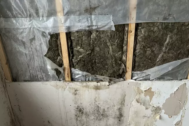 Ошибки пароизоляции и увлажнение утеплителя