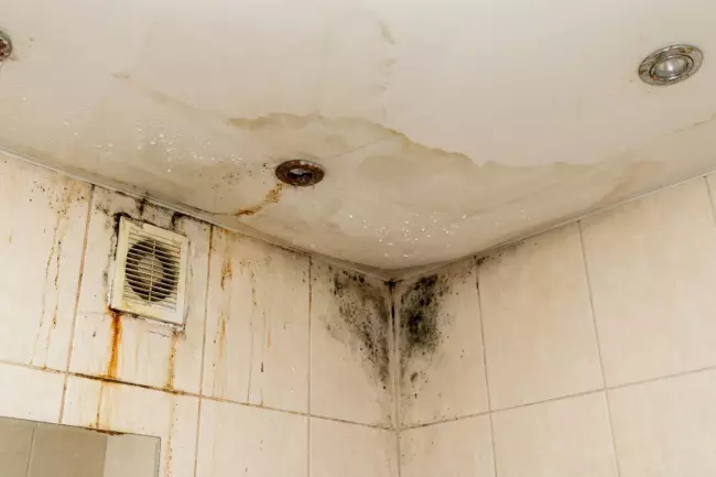 Ошибки монтажа натяжного потолка во влажных зонах