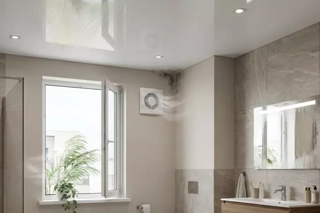 Эксплуатация натяжного потолка при высокой влажности