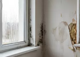 Как определить неправильную пароизоляцию в доме